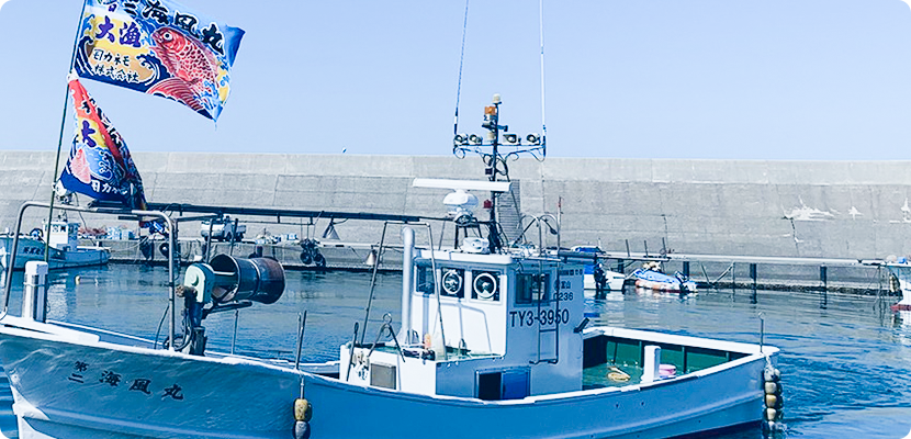 公式ホームページ